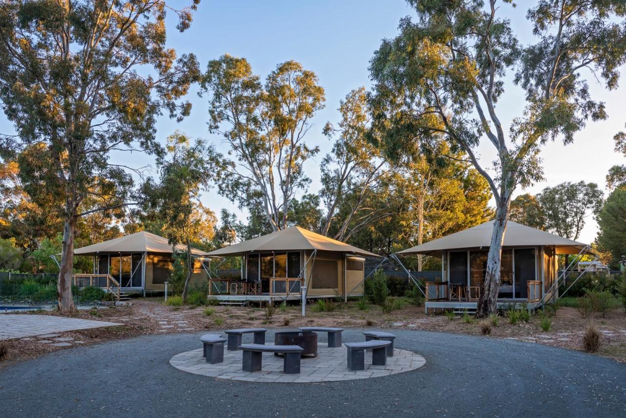 טנודה Discovery Parks - Barossa Valley מראה חיצוני תמונה